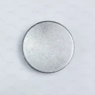 Spicer Axle MISCELLANEOUS Plate - Thrust A20HS107_SP buy